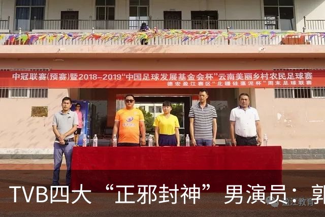 TVB四大“正邪封神”男演员：郭、温、林、江华，谁的演技最无解